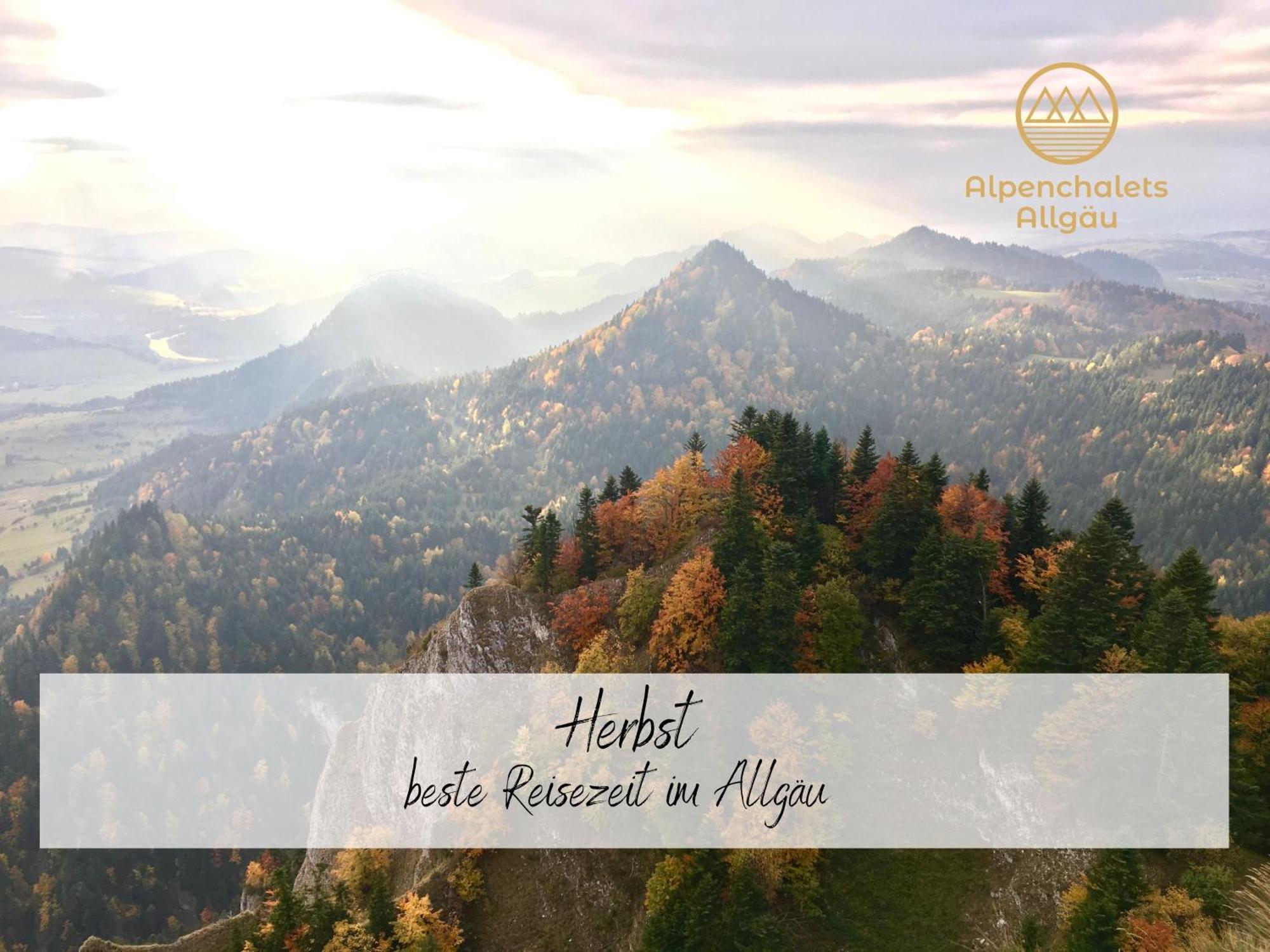 Hochwertige Alpenchalets Allgaeu Immenstadt im Allgäu Dış mekan fotoğraf