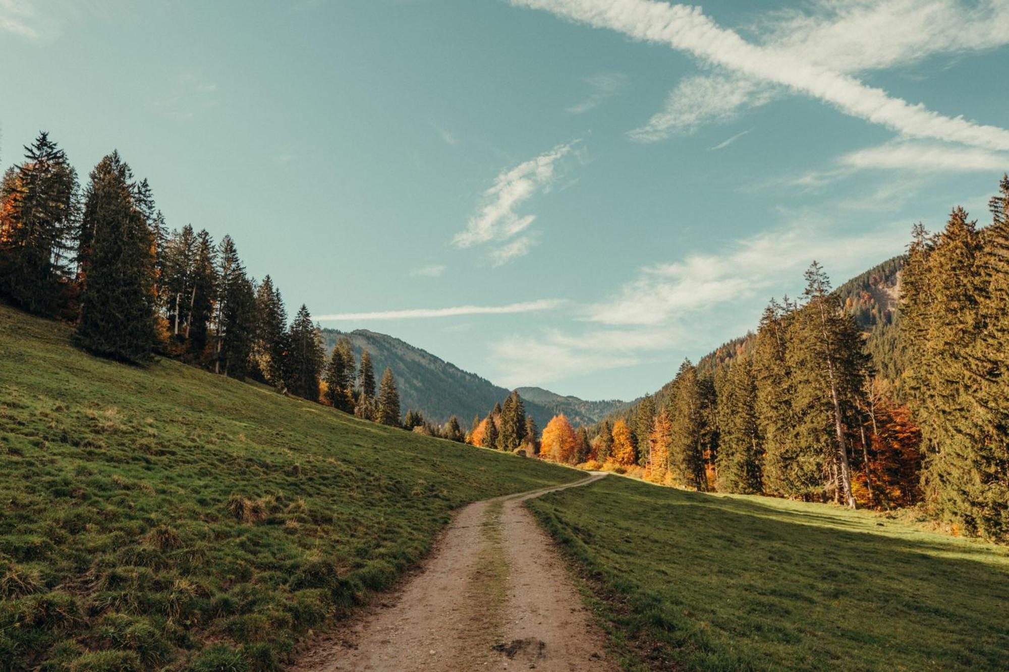 Hochwertige Alpenchalets Allgaeu Immenstadt im Allgäu Dış mekan fotoğraf